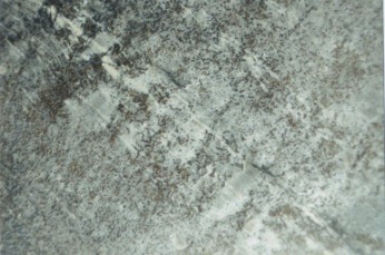 Theumaer Fruchtschiefer, Erdgescho Nikolaistrae 36 und Pfeilerverkleidung Wohnhaus Katherinenstrae/Schumachergchen