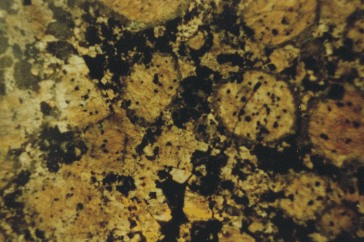 Rapakivi  (Baltik Braun)