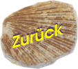 Zum Anfang der Seite
